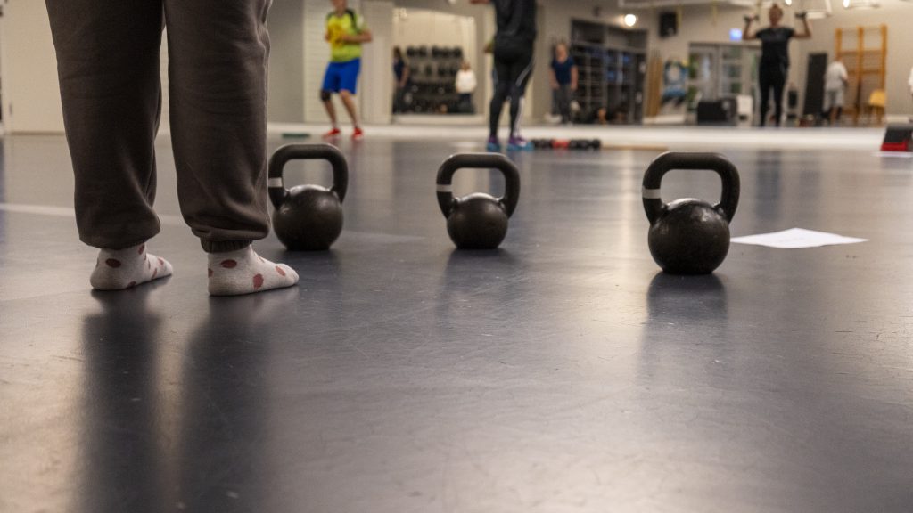 enkelcirkel-friskisjkpg-4